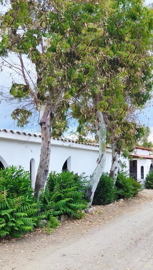 Camping Village Torrenova Cirò Marina Esterno foto