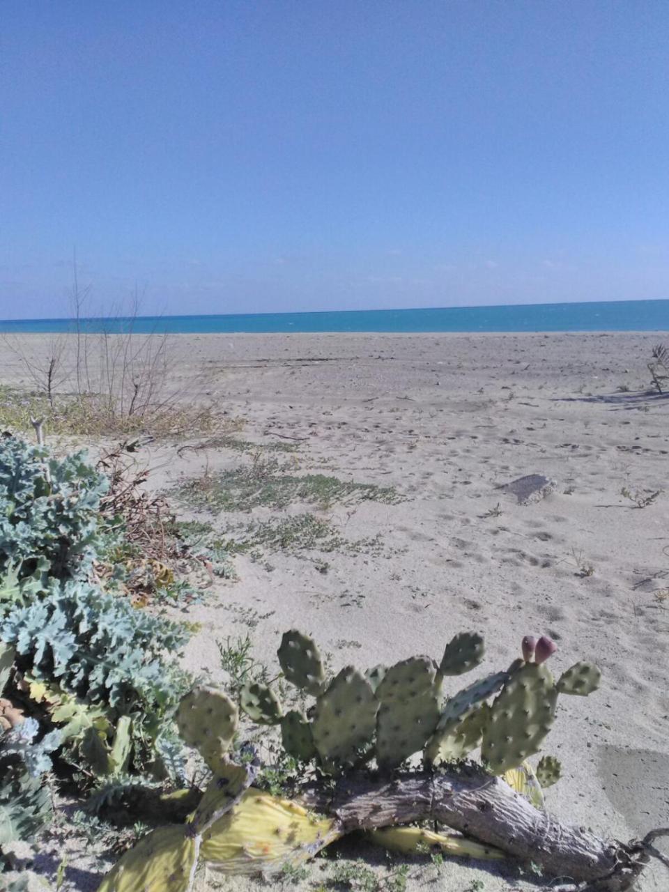 Camping Village Torrenova Cirò Marina Esterno foto
